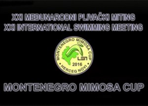 Not-Mimosa-Cup-logo-2016-black