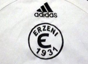 erzeni-volejboll-logo